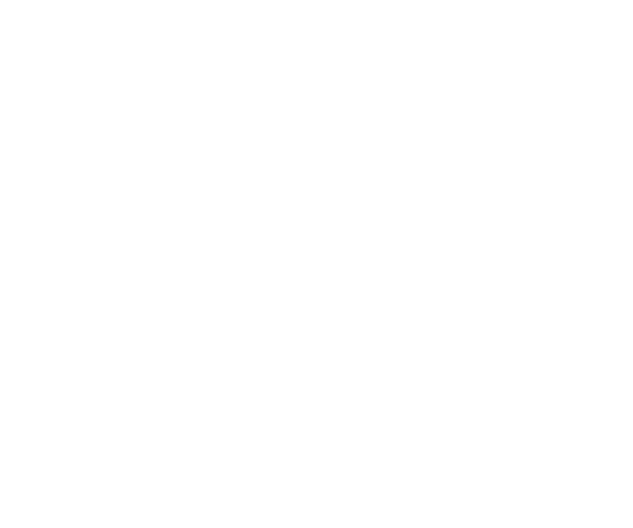 Denali Equine
